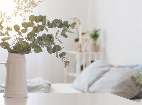 eucalyptus-and-gypsophila-in-jug-in-white-bedroom